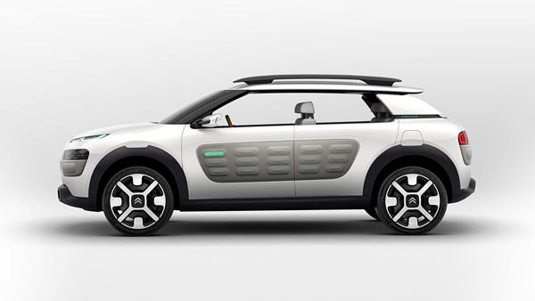 c4 cactus