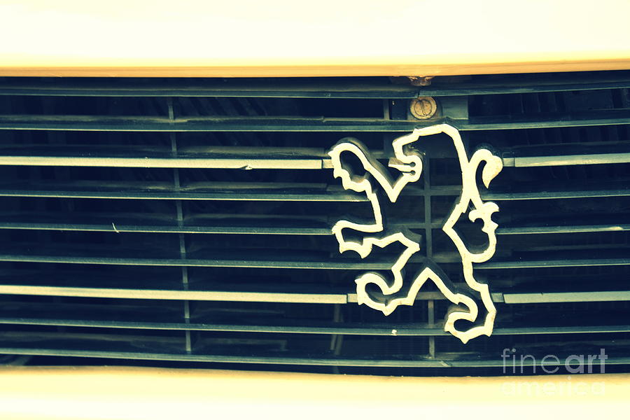 peugeot–vintage-vishakha-bhagat