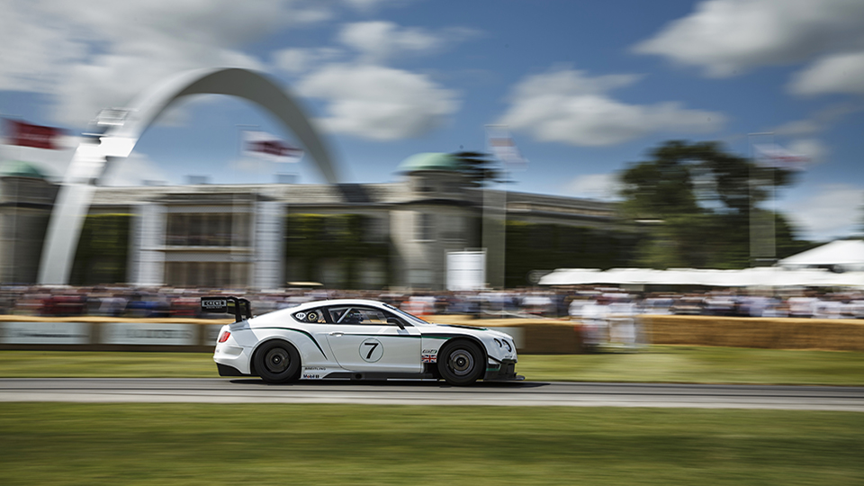 FESTIVAL DE GOODWOOD 2014